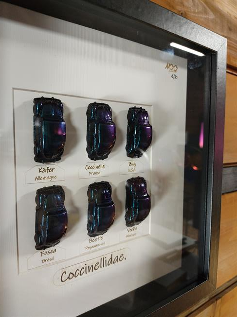 Cadre vw coccinelle, cadre vw cox