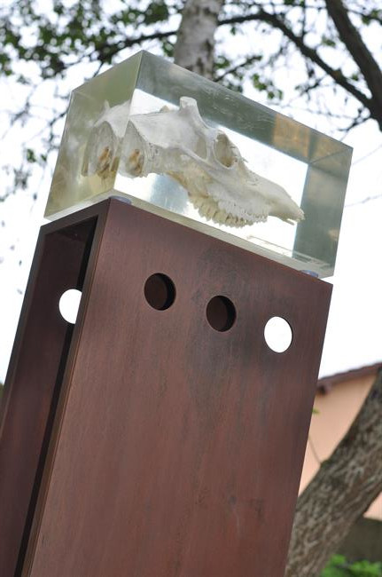 Sculpture crâne de mouton
